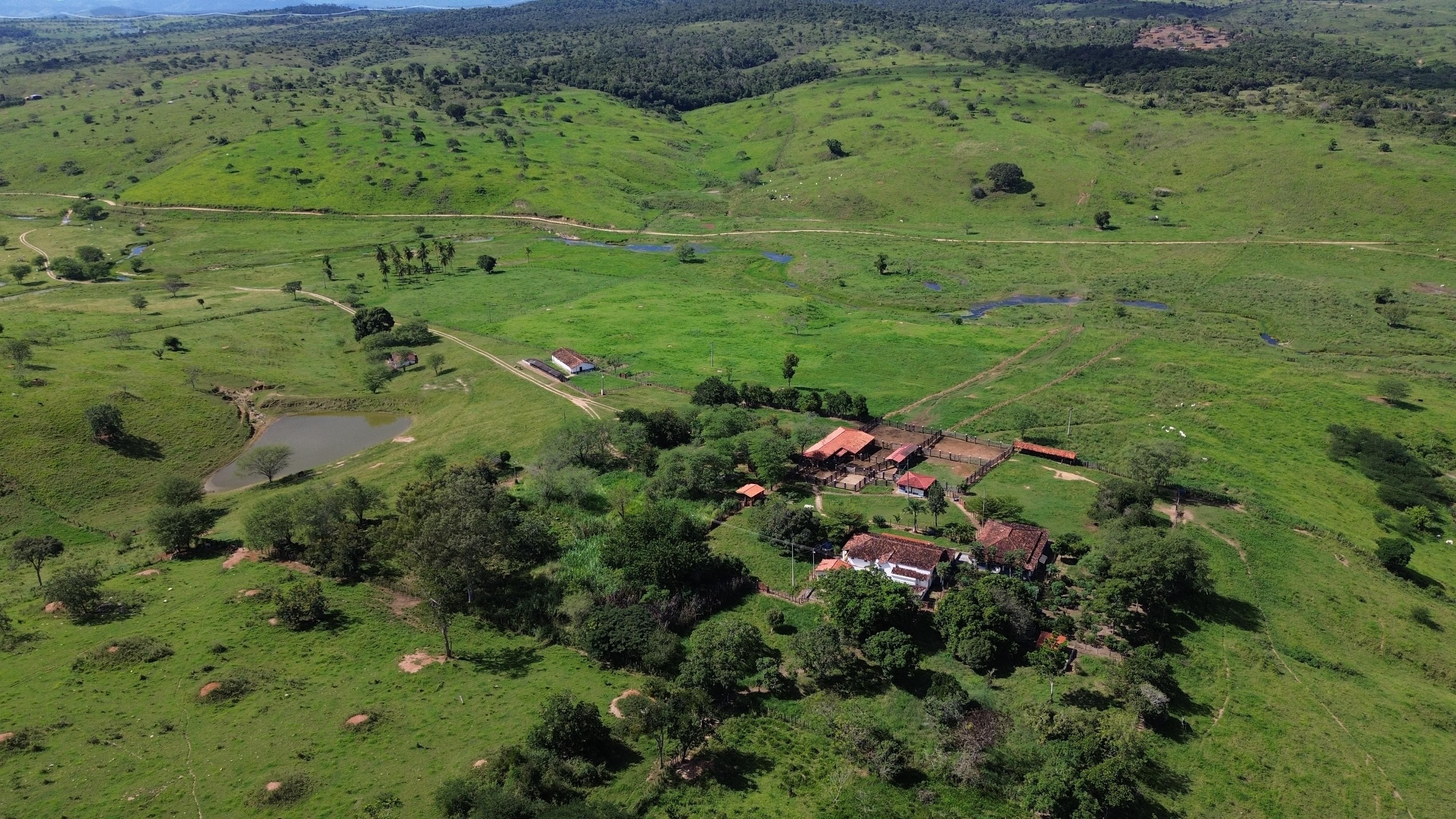 Assistência Técnica